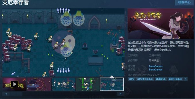 肉鸽新作《灾厄幸存者》上架Steam 支持中文