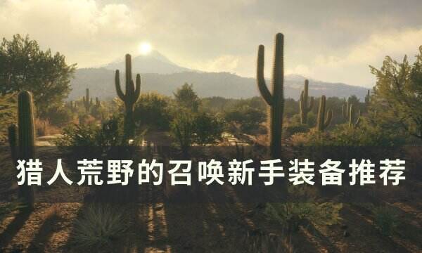 《猎人荒野的召唤》装备怎么选 新手装备推荐