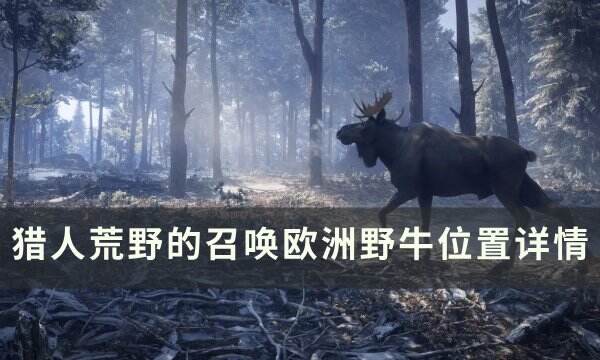 《猎人荒野的召唤》欧洲野牛在哪 欧洲野牛位置详情