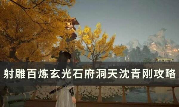 《射雕》石府洞天沈青刚怎么打 百炼玄光石府洞天沈青刚攻略