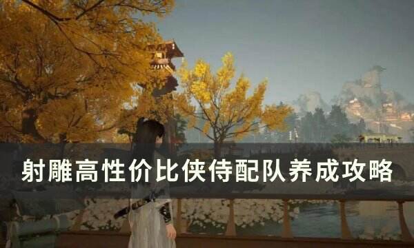 《射雕》侠侍怎么配队 高性价比侠侍配队养成攻略