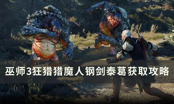 《巫师3狂猎》猎魔人钢剑泰葛怎么获得 猎魔人钢剑泰葛获取攻略