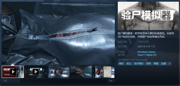 恐怖模拟游戏《验尸模拟器》延期至6月7日发售