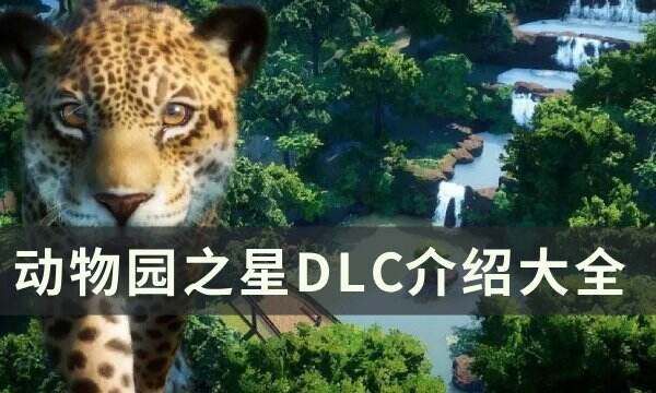 《动物园之星》全dlc动物包一览 DLC介绍大全