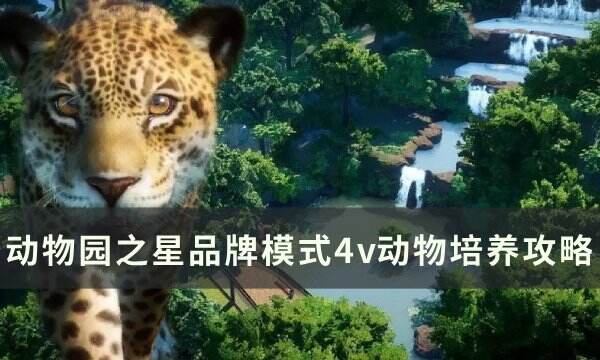《动物园之星》品牌模式4v动物怎么培养 品牌模式4v动物培养攻略