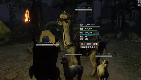 《灵魂面甲》羊驼怎么养 羊驼养殖方法详情