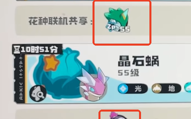 《洛克王国世界》辨别炫彩花种方式 《洛克王国世界》炫彩花种怎么看
