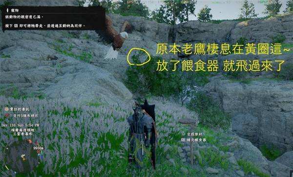 《红色沙漠》老鹰抓取方法 怎么抓老鹰