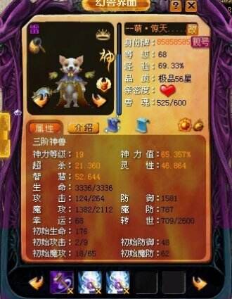 魔域的三大皇冠流神兽养成法师新方向