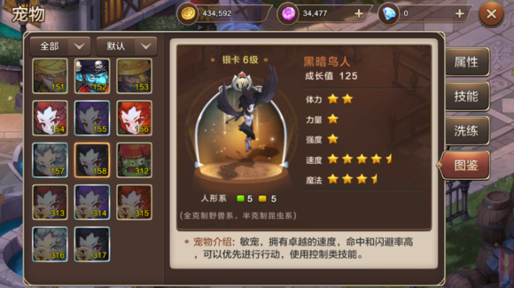 魔力宝贝手机版黑暗鸟人的详细介绍