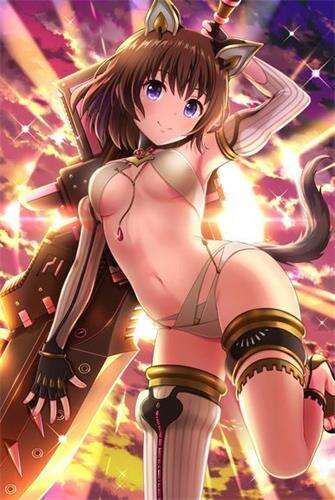 妃十三学园至极爱衣角色技能评测