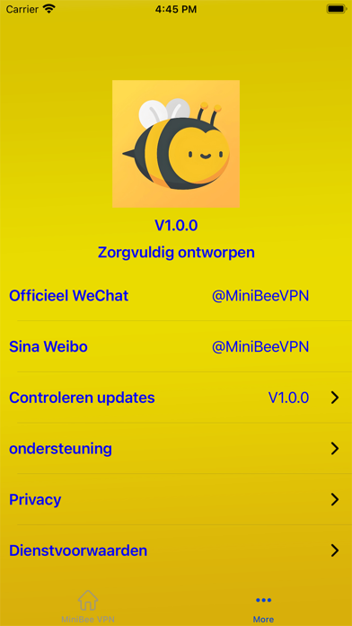 蜜蜂加速器应用截图