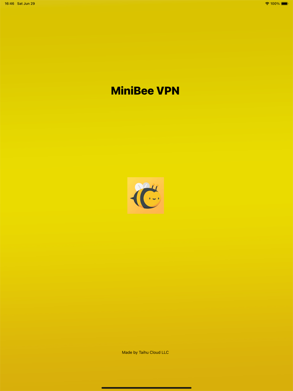 蜜蜂加速器应用截图