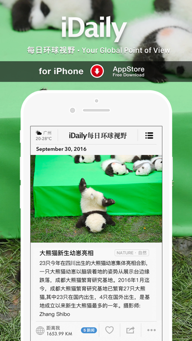 iDaily游戏截图