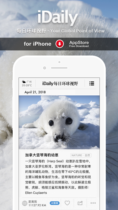 iDaily游戏截图