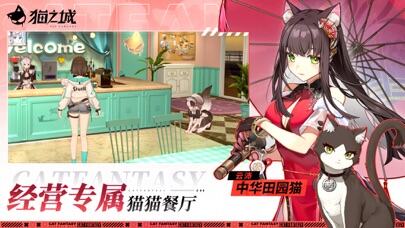 猫之城游戏截图