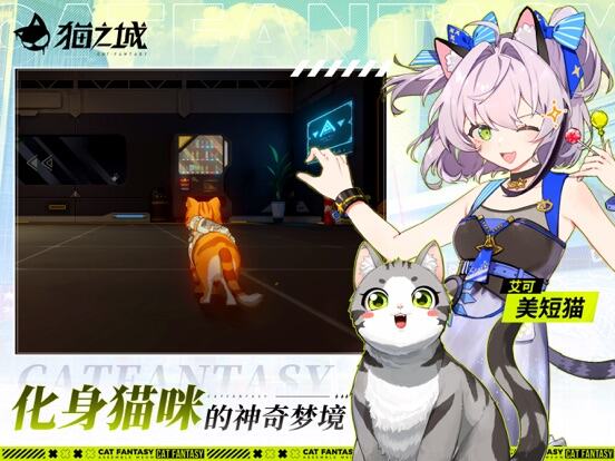 猫之城游戏截图