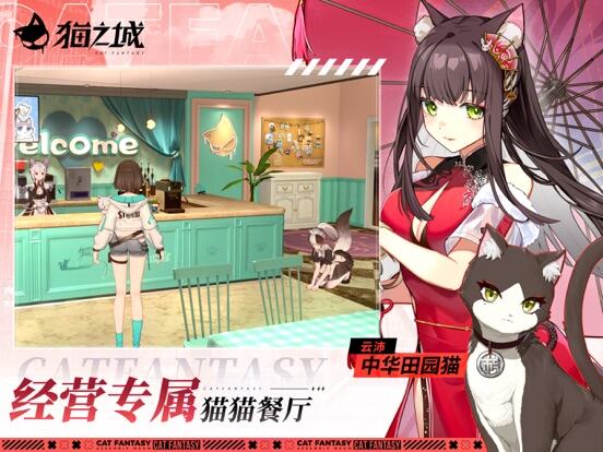 猫之城游戏截图