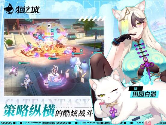 猫之城游戏截图