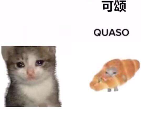 quaso梗意思介绍