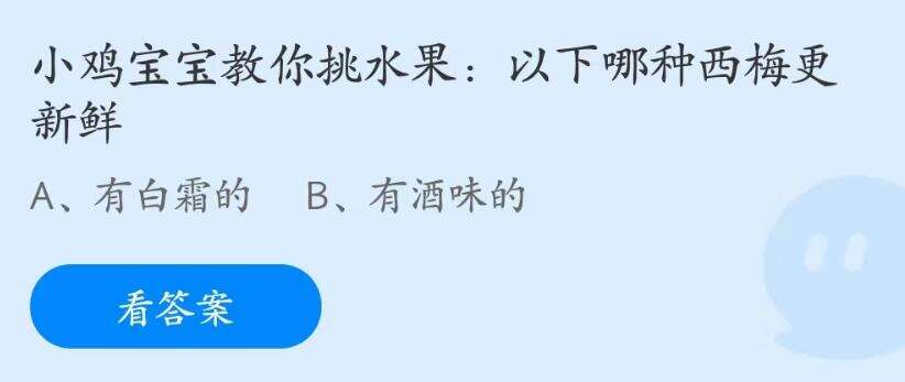 以下哪种西梅更新鲜