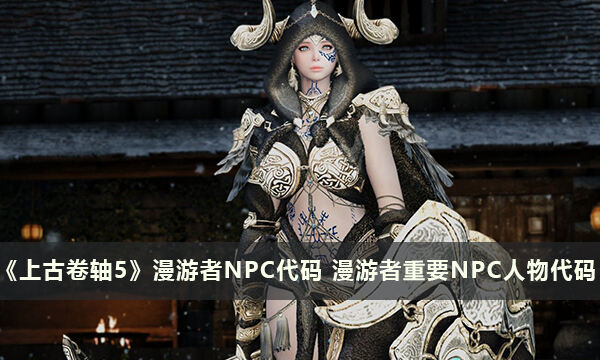 《上古卷軸5》漫游者NPC代碼 漫游者重要NPC人物代碼