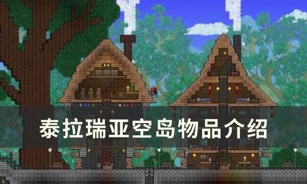 《泰拉瑞亞》空島有什么 空島物品介紹