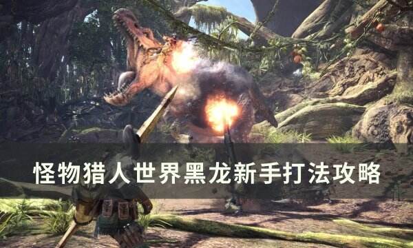 《怪物獵人世界》黑龍新手怎么打 黑龍新手??