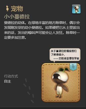 ff14小小蔓德拉宠物怎么获得 ff14小小蔓德拉获得方法