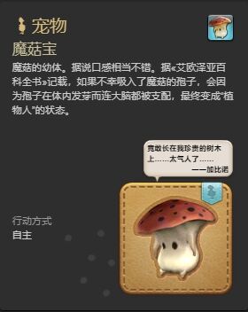 ff14魔菇寶寵物怎么獲得 ff14魔菇寶獲得方法