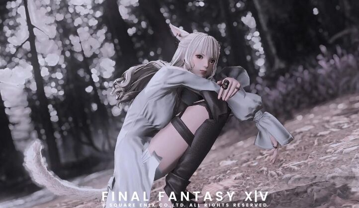 ff14发条索鲁斯宠物怎么获得 ff14发条索鲁斯获得方法