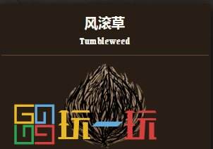 饥荒联机版风滚草是干嘛的 饥荒联机版风滚草介绍