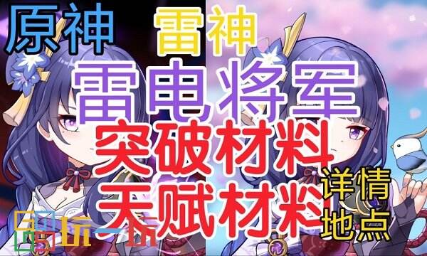 原神雷电将军突破材料是什么 雷电将军突破培养材料汇总