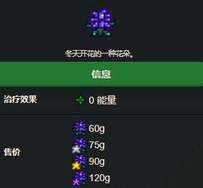 星露谷物语冬季觅食收集包怎么完成 冬季觅食收集包完成攻略