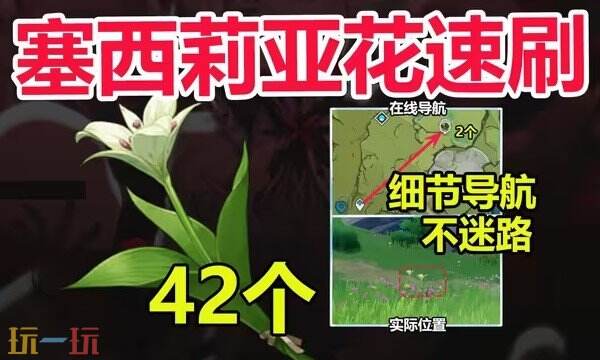 原神塞西莉亞花采集路線 塞西莉亞花采集位置