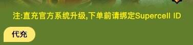 荒野乱斗国际服充值教程分享！海外游戏代充！快速到账