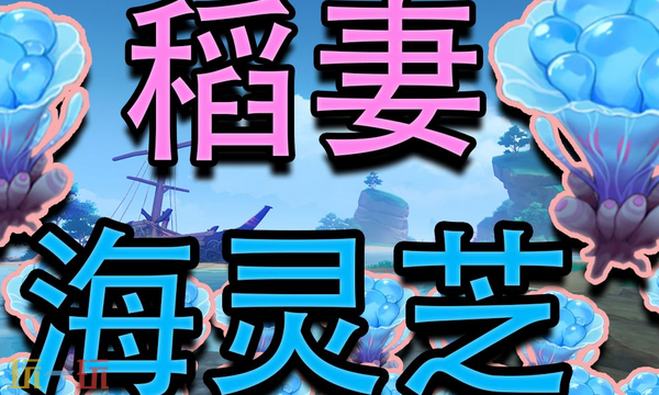 原神海灵芝在哪里 海灵芝采集大全