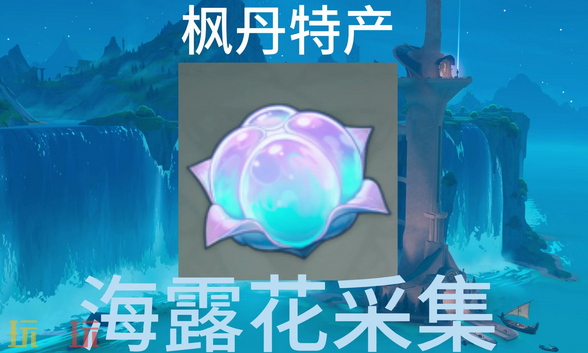原神海露花在哪里 海露花采集位置大全
