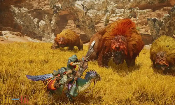 怪物猎人荒野涌油谷钓鱼点位置地图及可钓鱼类一览 钓鱼点全解析