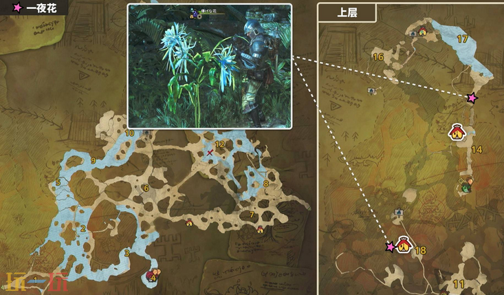 怪物猎人荒野一夜花的月华粉位置及获取方法 一夜花的月华粉在哪