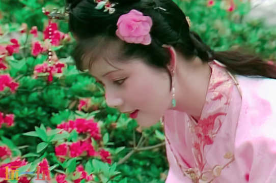 宝钗扑的是什么颜色的蝶游戏问答 宝钗扑的是什么颜色的蝶答案解析