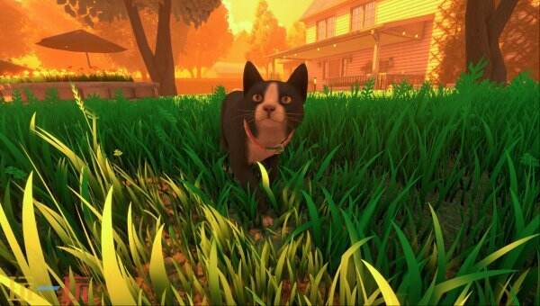 叙事猫咪冒险《冒牌猫谜》将于5月29日登陆PS5和Xbox平台