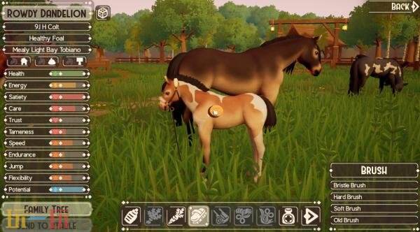 养马模拟游戏《The Ranch of Rivershine》现已正式发售