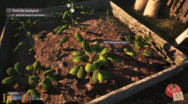 时间循环生活模拟《绯花绽放》预告公布