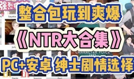 日本游戏18手游汉化免费玩 好玩的日本游戏18手游合集