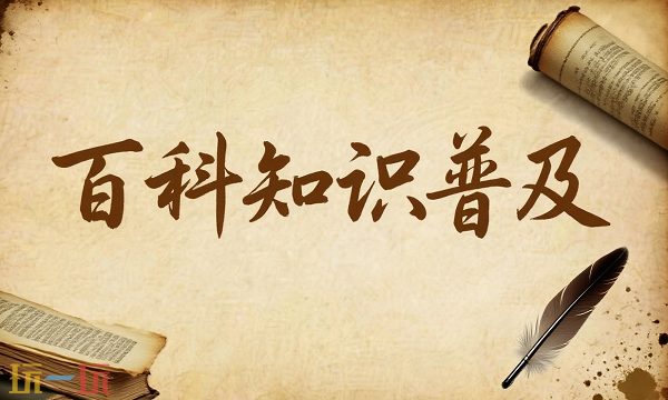 老鹰抓兔子的飞行路线是什么 老鹰抓兔子的飞行路线解析