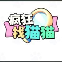 疯狂找猫猫
