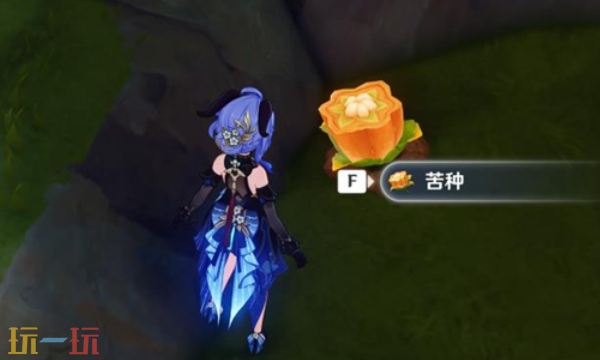 原神苦种在哪 苦种采集攻略大全
