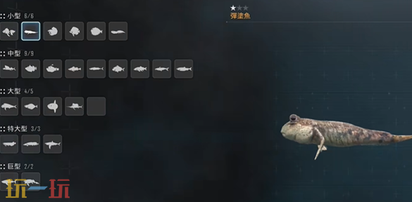 剑星鱼种类型有哪些 鱼种类型和喜好介绍
