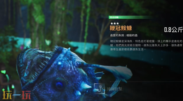 剑星限定稀有鱼有哪些 限定稀有鱼种类一览